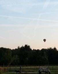 Frans 07 Met alle winden mee waaien